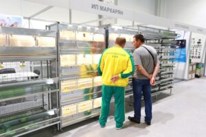 Подробнее о статье В пятый раз мы стали участниками очень интересного мероприятия «Кубанская ярмарка «